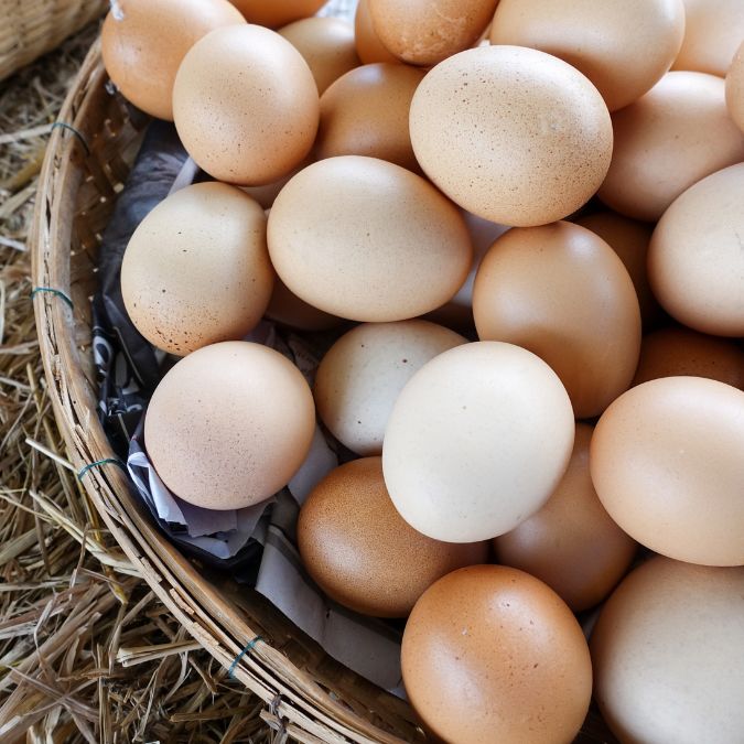 all eggs in one basket investor risk